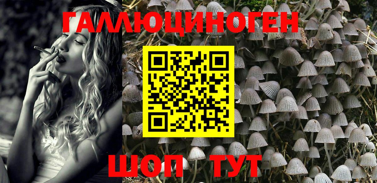 Псилоцибиновые грибы ЛСД  Вход с VPN  Тосно 
