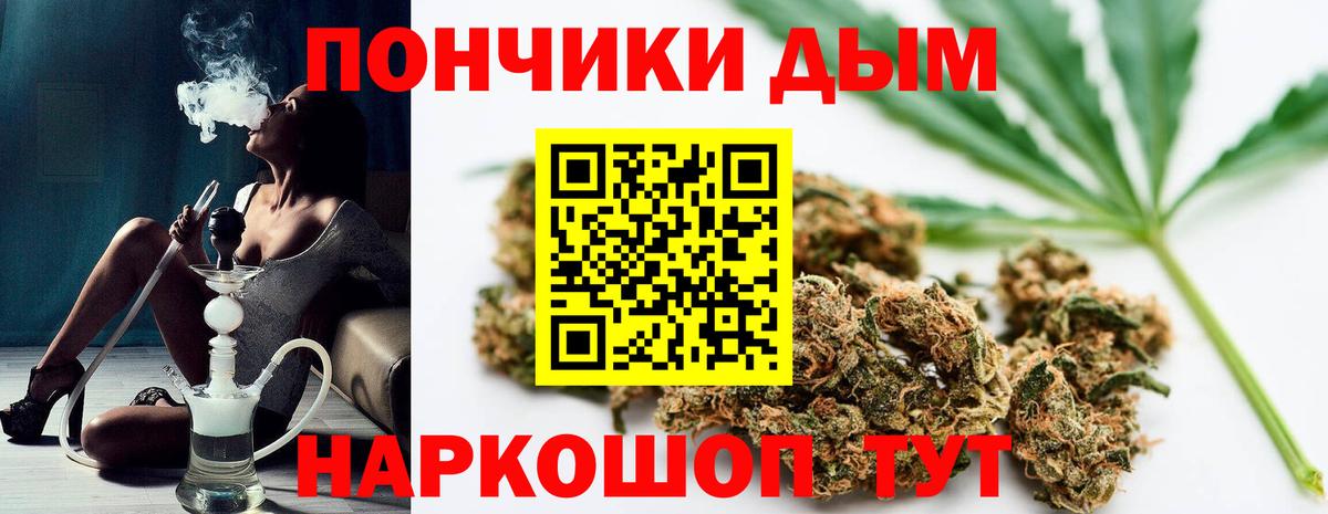 Бошки марихуана Ganja  Конопля конопля  Вход с VPN  Марихуана сатива  Тосно 